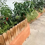 Edara - Vivienda Completa